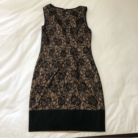 Cache Nude and Black Lace Dress - Picture 2 of 7